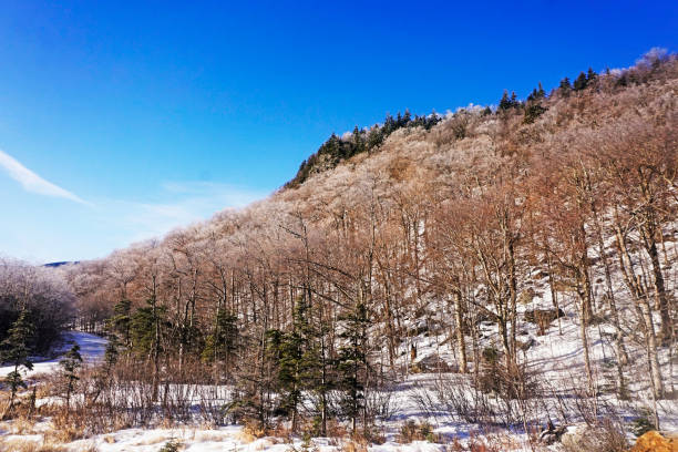 빙판 폭풍 - mount washington north new hampshire usa 뉴스 사진 이미지