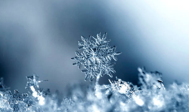 istock natural snowflakes on snow 923824498