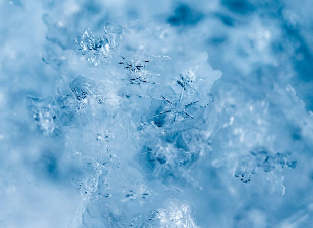 istock natural snowflakes on snow 923824532