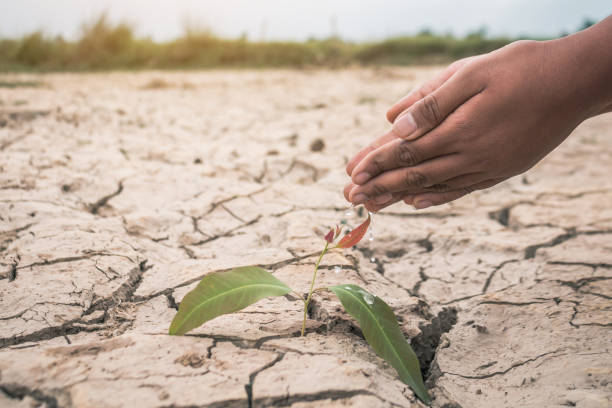 istock Cropped Hands Planting On Barren Field 923831520