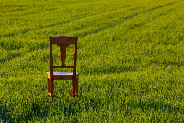 istock Old wooden chair 923835160