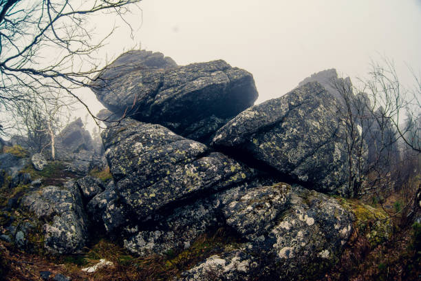 istock Dark mountain landscape with big mysterious rocks covered by fog 923837084