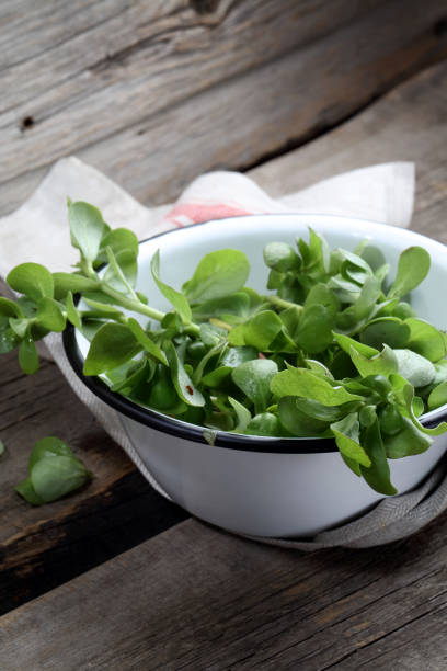 istock Fresh purslane on old boards 923845028
