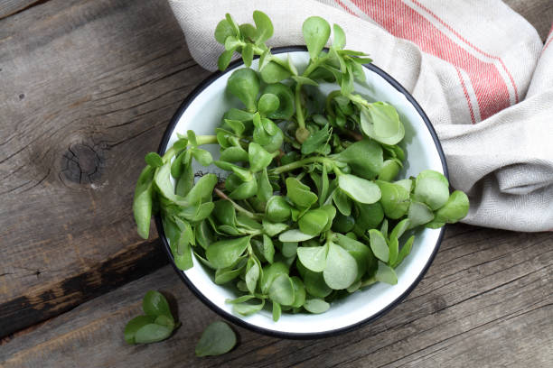 istock Fresh purslane on old boards 923845044
