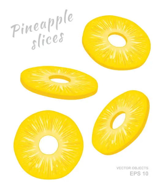 Vector illustration of Vector illustration of falling pineapple slices isolated on white background. A cut rings of fresh exotic fruit. Set of four Different angles of view