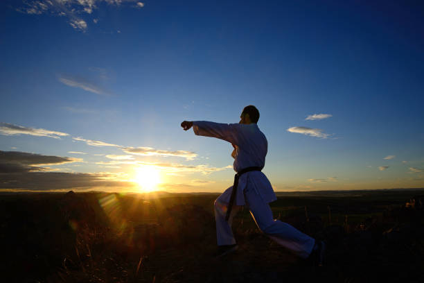 istock Specialist in martial arts making technical movements. 923847660