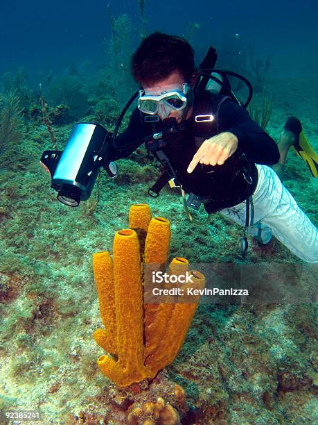 Foto de Mestre Do Mergulho Apontando Em Um Mar Deló e mais fotos de stock de Debaixo d'água - Debaixo d'água, Filmar, Adulto