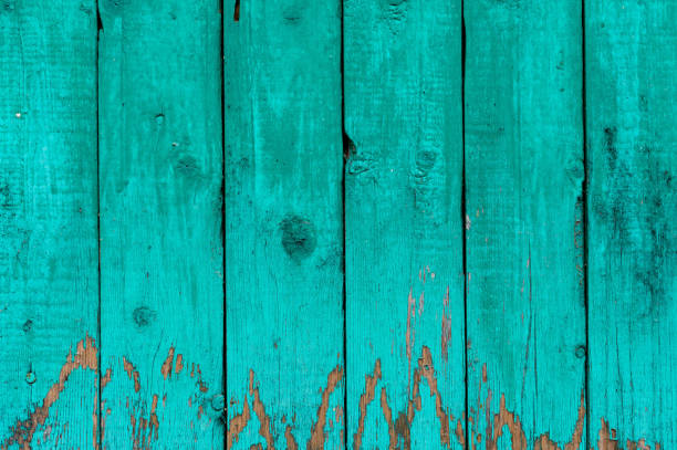 Old boards with cracked cyan paint. Textured wooden old background with vertical lines. Cyan wooden planks close up for your design. Green-blue many times painted old wall with lagged fragments of paint lagging behind the surface placas antiguo con pintura cian agrietada. textura de fondo antiguo madera con líneas verticales. tablones de madera de cerca para su diseño. verde-azul muchas veces pintada antigua muralla con rezagado fragmentos de pintura a la zaga la superficie