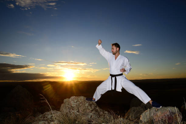 istock Specialist in martial arts making technical movements. 923857874