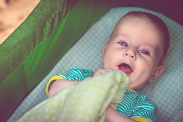 istock Cute happy baby boy in carriage 923858166