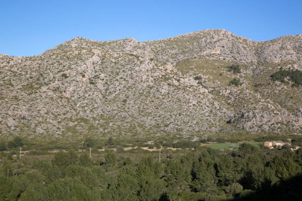 istock Hills on Formentor, Pollenca Port; Majorca 923858266