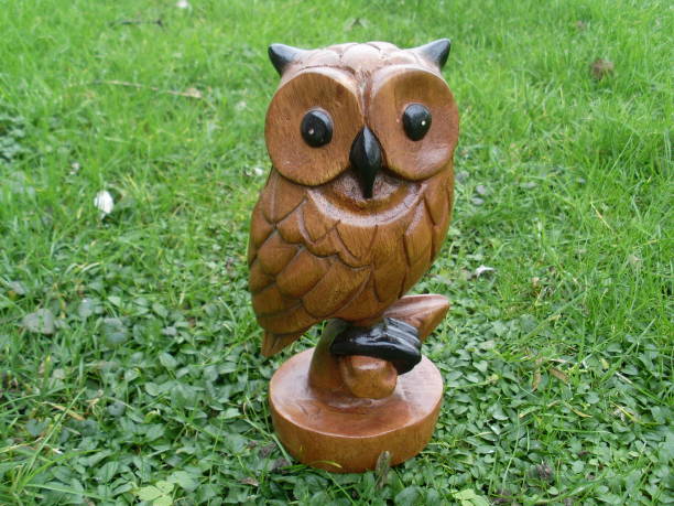 istock An owl poses in the grass 923862230