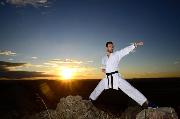 istock Specialist in martial arts making technical movements. 923862606