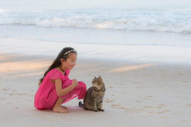 Little girl playing with a cat on the beach