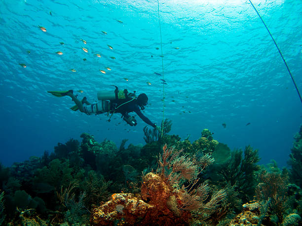 istock Diver checking the mooring in Cayman Brac 92386834