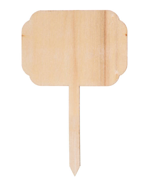 istock Wooden information label sign 923869068