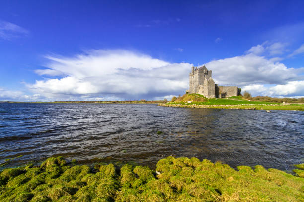 dunguaire castle dans le comté de galway - kinvara photos et images de collection