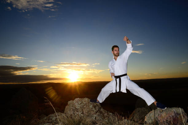 istock Specialist in martial arts making technical movements. 923872516
