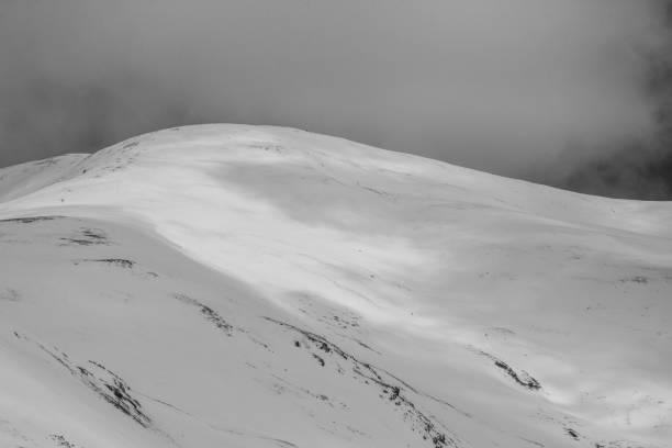 istock Rocky Mountains in Winter 923872606