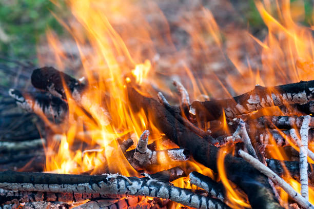 istock Close up of hot burning fire wood coal 923873336