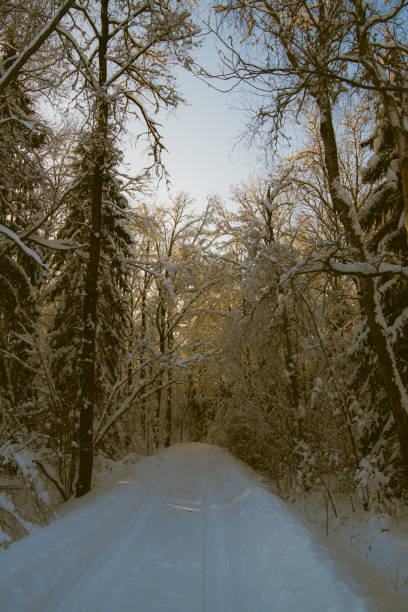 Evening on snow-covered winter road