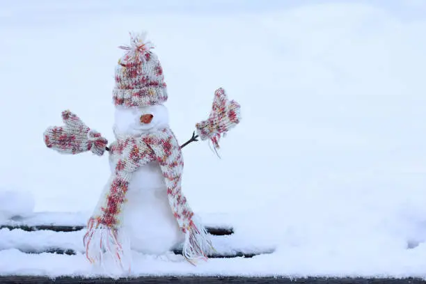 Christmas snowman caring dressed in warm scarf, hat and mittens on the background of snowy landscape