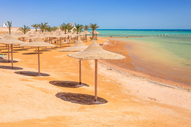 sonnenschirme am strand des roten meeres in hurghada - hurghada stock-fotos und bilder