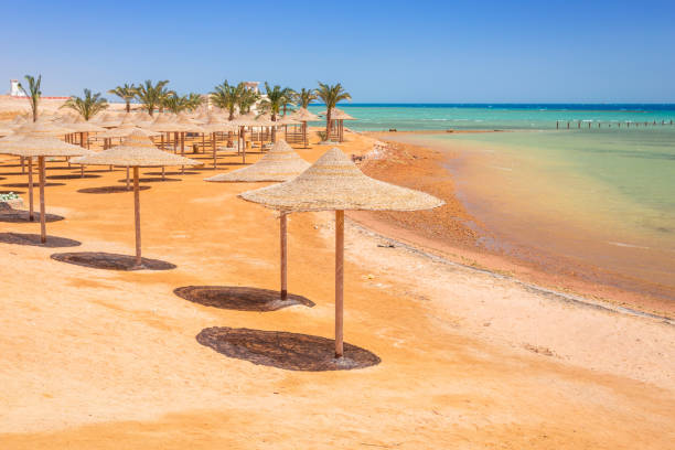Parasols on the beach of Red Sea in Hurghada stock photo