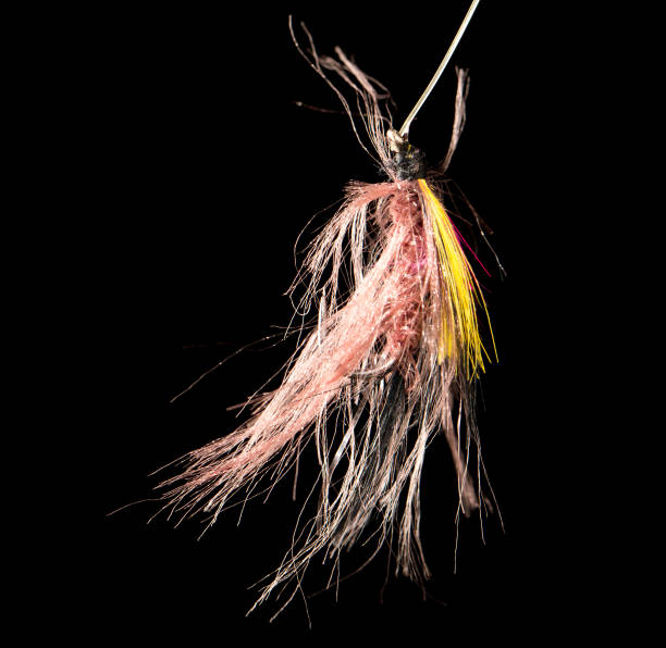 istock fly to catch fish on a black background 923880368