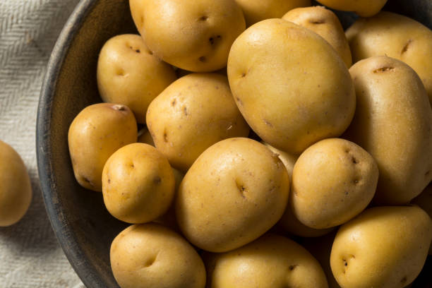 istock Raw Organic Yellow Baby Potatoes 923882620
