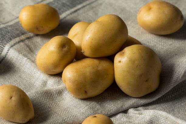 istock Raw Organic Yellow Baby Potatoes 923883902