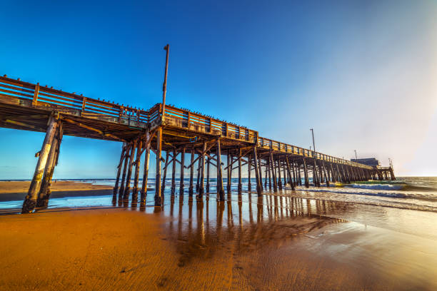 istock Newport Beach wooden pier at sunset 923887800