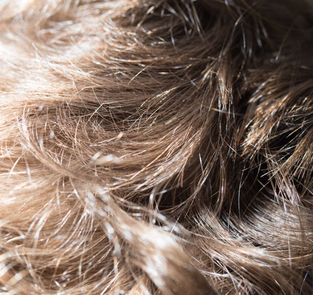 istock human hair as a background. texture 923888172