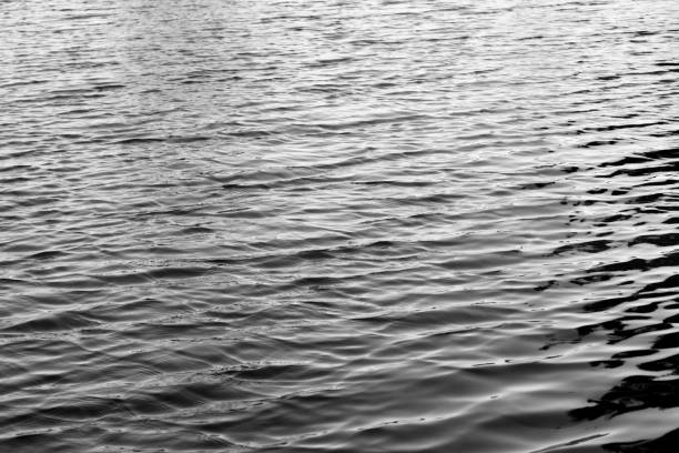 istock Water with sun reflections background texture black and white 923888180