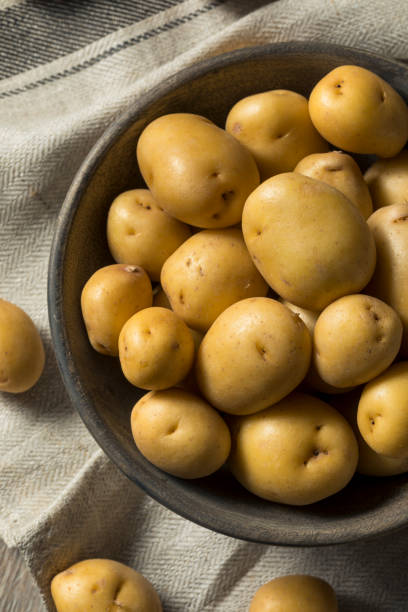 istock Raw Organic Yellow Baby Potatoes 923891850