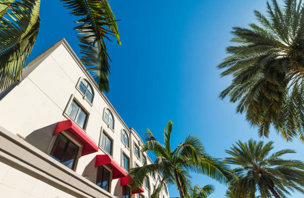 istock Palm trees and elegant buildings in Beverly Hills 923894072
