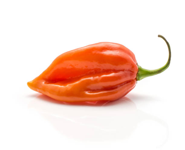 istock Fresh Habanero chilli isoated on white 923894918
