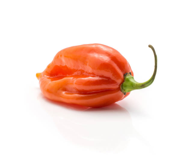 istock Fresh Habanero chilli isoated on white 923894944