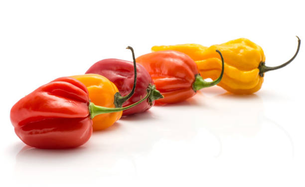istock Fresh Habanero chilli isoated on white 923894950