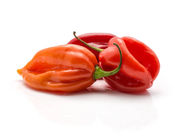 istock Fresh Habanero chilli isoated on white 923894974