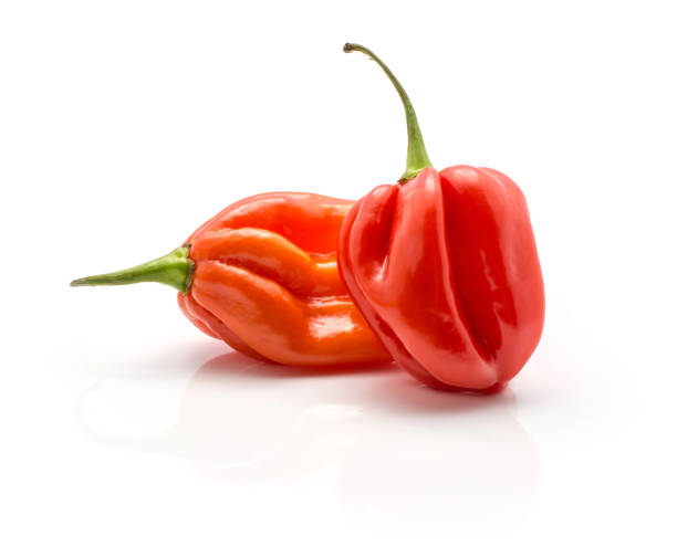 istock Fresh Habanero chilli isoated on white 923894994
