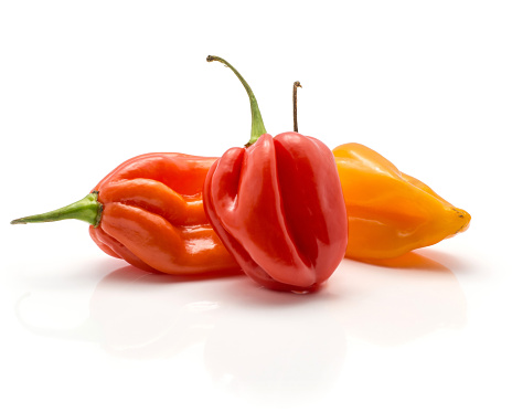 Three Habanero chili yellow orange red hot peppers isolated on white background\