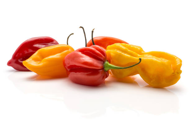 istock Fresh Habanero chilli isoated on white 923895068