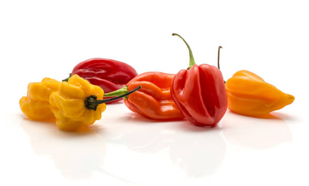 istock Fresh Habanero chilli isoated on white 923895070