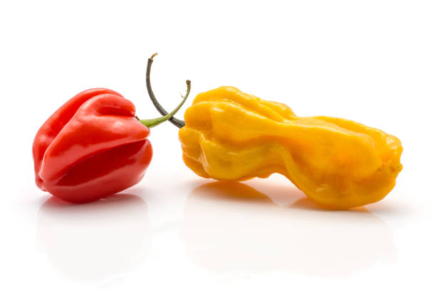 istock Fresh Habanero chilli isoated on white 923895074