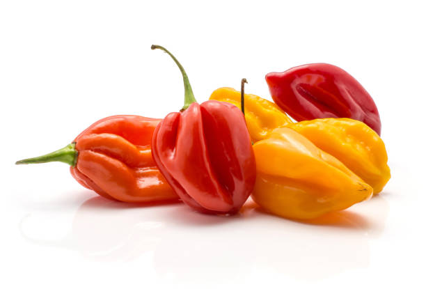 Fresh Habanero chilli isoated on white Habanero chili yellow orange red hot peppers stack isolated on white background"n Antilles stock pictures, royalty-free photos & images