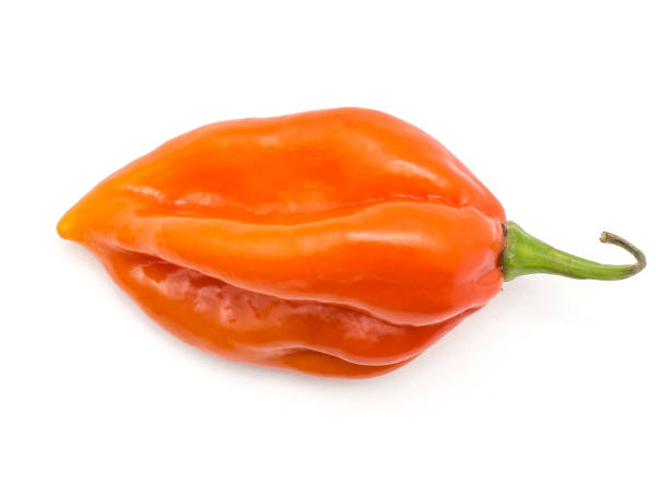 istock Fresh Habanero chilli isoated on white 923895146