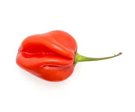 One Habanero chili top view red hot pepper isolated on white background