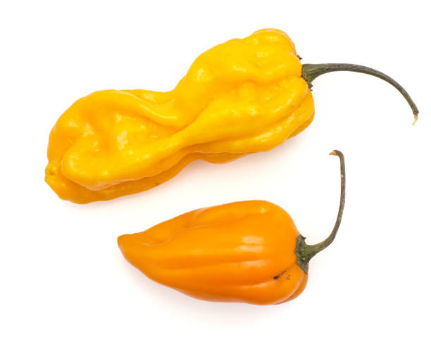 istock Fresh Habanero chilli isoated on white 923897068
