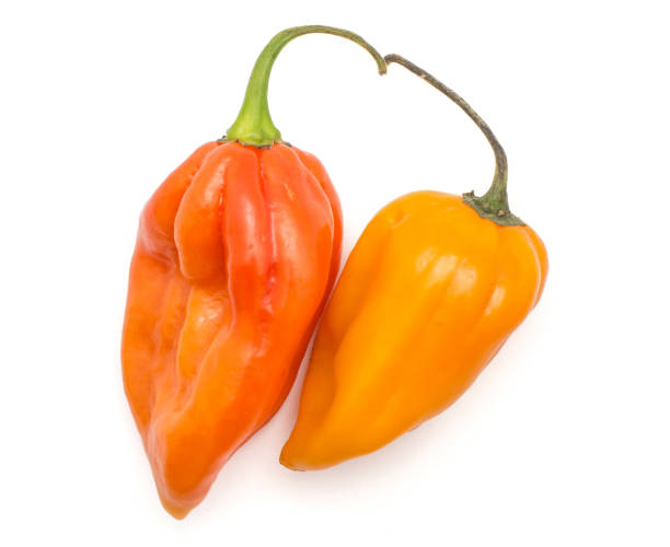 istock Fresh Habanero chilli isoated on white 923897196